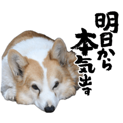yu_20260506103152