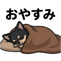 eeev_20260506102437