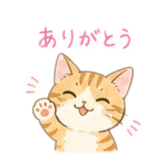ryukiyamamoto_20260506102927