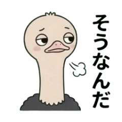kame_20260506103628