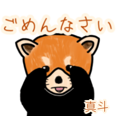 Mato's lesser panda (2)