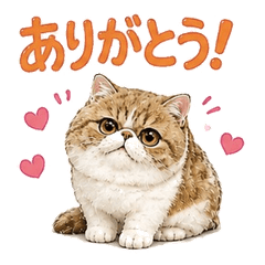 Mochimochi Exotic Cat Stickers