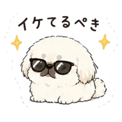 PEKITTO PEKINGESE  2
