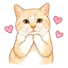 San-chans Daily Cat Stickers