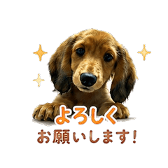 dakkusu_hunndo
