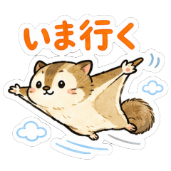 Sasachii the Flying Squirrel