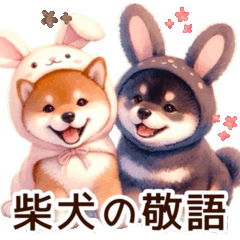Two Shiba Inu dogs using polite language