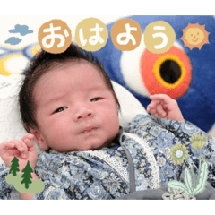 nqo_20260506103823