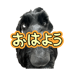 daikichi_20260506104249