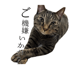 aaaaaaaa_20260506104712