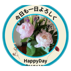 otomeza_20260506104720