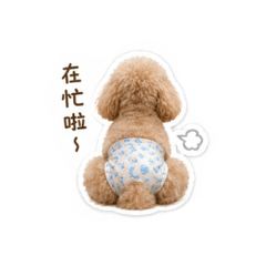 可愛狗狗^嘟比