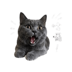 托比款貼圖