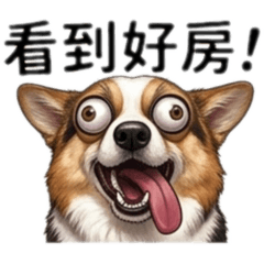 雷夢賣房中