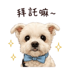 臭寶妞2