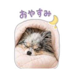hoge_20260506104453