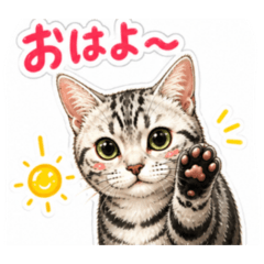 Kenji0419_20260506105953