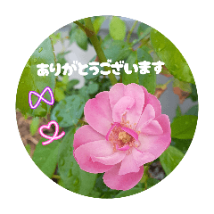 love1123_20260506174325