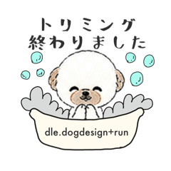 dle.dogdesign+run_20260506111147