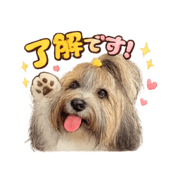 RARE_20260506174508