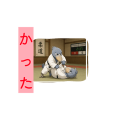 miumiu_20260506175247