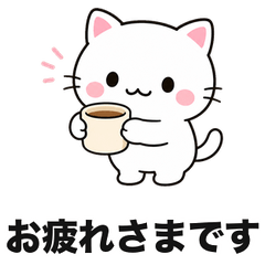 Polite White Cat for Work!