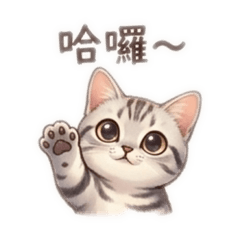 小嬌墨