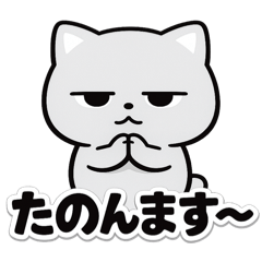 SHU_20260508122143