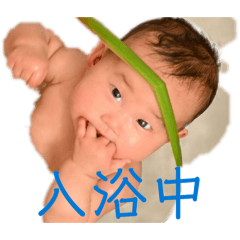 yama_20260506111704