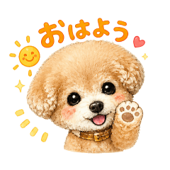 tenten_20260506112601