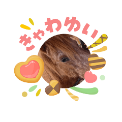 RIE_5gatu