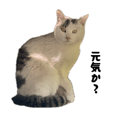 MU_20260506180122
