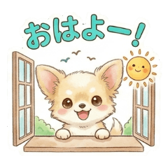 Studio AC_20260506112911
