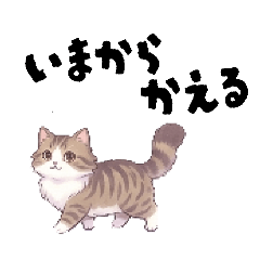 misan_20260506115638
