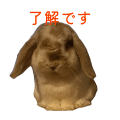 f_20260506115750