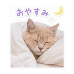 natsumi_20260506120028