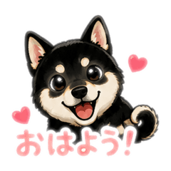 poco GIRL_20260506184507