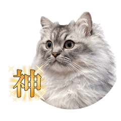 leopui_20260506184348