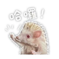 饅頭刺蝟
