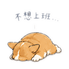 柯基不適合上班