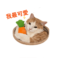 嚕嚕01