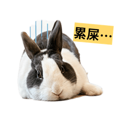 魯式人生（日常篇）