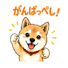 PUNA_20260427214331