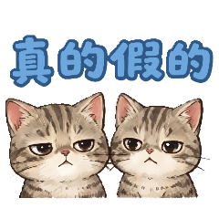喵日常（1）