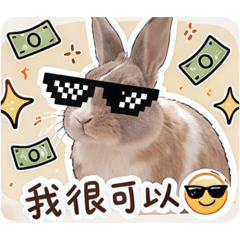 麻吉～醬 日常實用篇(MuaaGi)