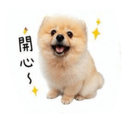 Haodai_1