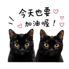 黑貓姊妹の日常｜可愛日常篇