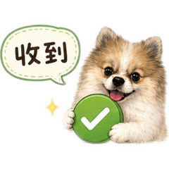 我是九萬 九萬是我