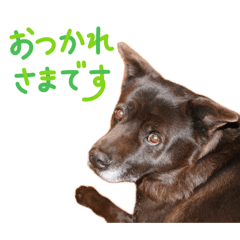 haco_20260506