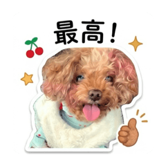 EBIN_20260506124628